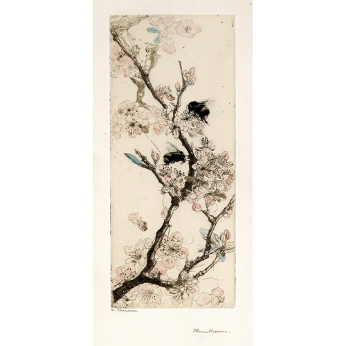 3048 - KATE CAMERON RSW RE (SCOTTISH 1874-1965)PLUM BLOSSOM Drypoint etching, with hand colouring, sig... 