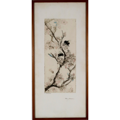 3048 - KATE CAMERON RSW RE (SCOTTISH 1874-1965)PLUM BLOSSOM Drypoint etching, with hand colouring, sig... 