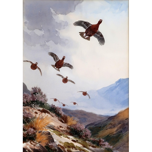 3079 - JOHN CYRIL HARRISON (BRITISH 1898-1985)GROUSE IN FLIGHTWatercolour, signed lower right, 48 x 34cm (1... 