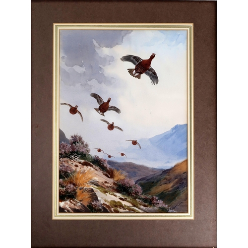 3079 - JOHN CYRIL HARRISON (BRITISH 1898-1985)GROUSE IN FLIGHTWatercolour, signed lower right, 48 x 34cm (1... 