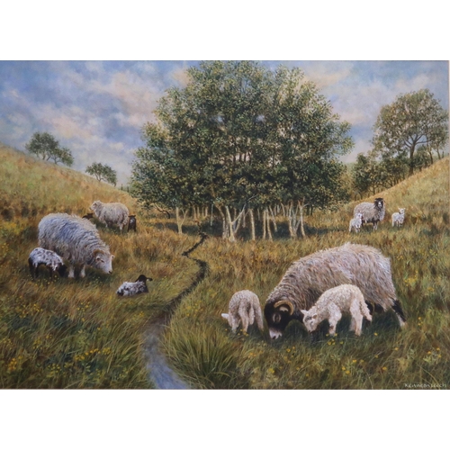 913 - KENNETH LEECH Sheep with lambs, before trees, signed,gouache 44 x x60cm