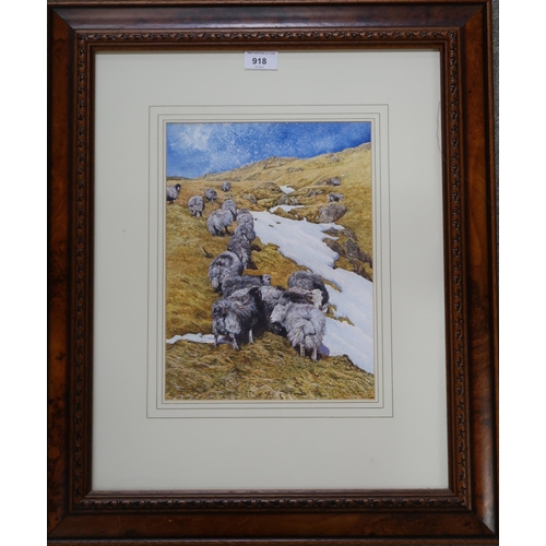 918 - DAVID CARTER Sheep on a mountainside, signed, gouache, 32 x 23cm