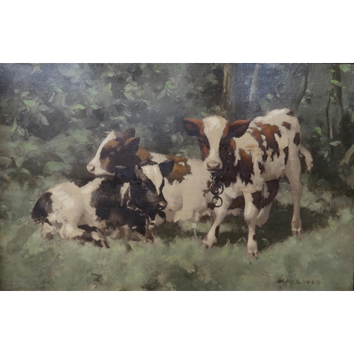 924 - AFTER DAVID GAULD Three calves, print, 32 x 49cm