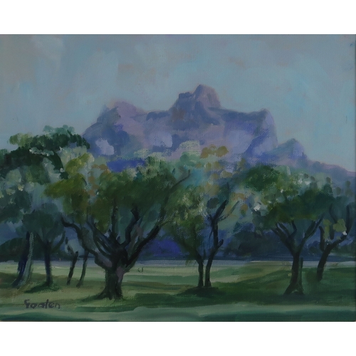 3005 - DELNY GOALEN (SCOTTISH 1932-2023) OLIVE TREES PROVENCE Oil on canvas, signed lower left, inscribed o... 