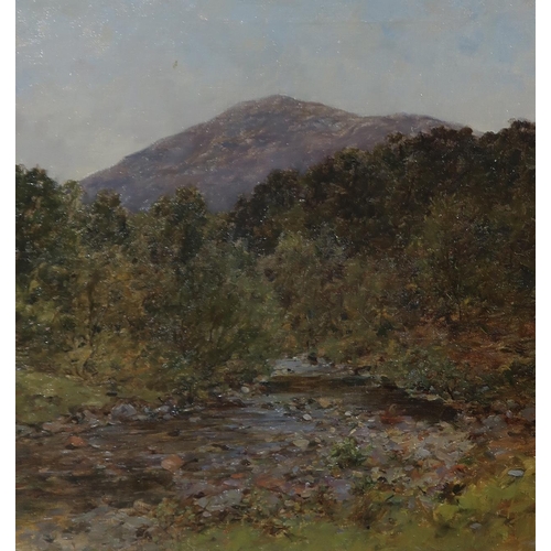 904 - ANDREW KELLOCK BROWN Woodland stream before a mountain, monogrammed, oil on canvas, 40 x 38cm... 