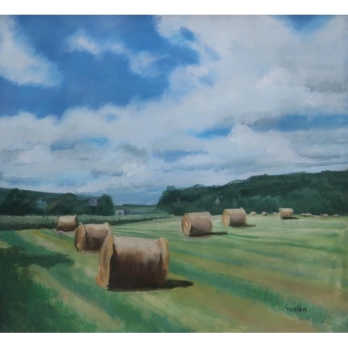 958 - DELNY GOALEN (SCOTTISH 1932-2023) HAY BALES ON A MEADOW Oil on canvas, signed lower right,... 