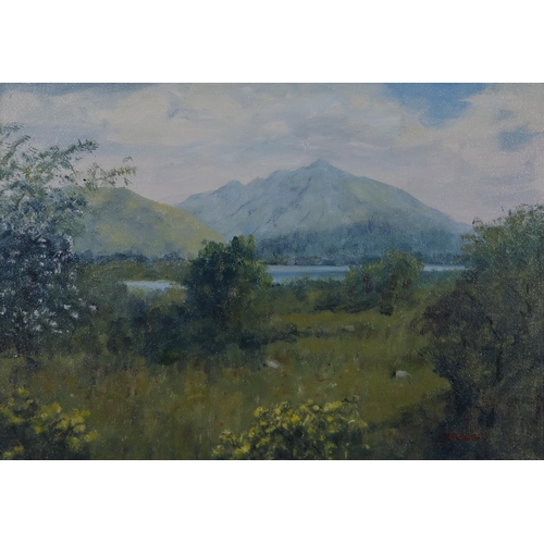 973 - GORDON ADAMS (SCOTTISH CONTEMPORARY) LOCH ETIVE AND BEN CRUACHAN FROM CONNEL Oil on canvas, signed l... 