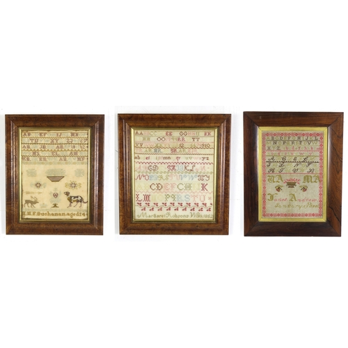 2624 - THREE VICTORIAN NEEDLEWORK SAMPLERSRespectively, by Janet Andrew, dated January 18th 1880, housed in... 