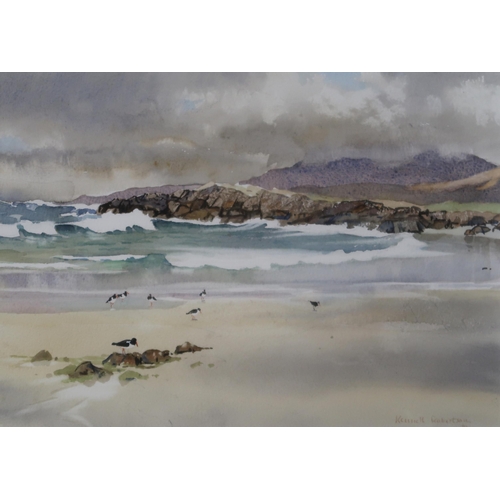 996 - KENNETH ROBERTSON (SCOTTISH CONTEMPORARY) WAVES AND OYSTERCATCHERS, S.UIST Watercolour, signed lower... 