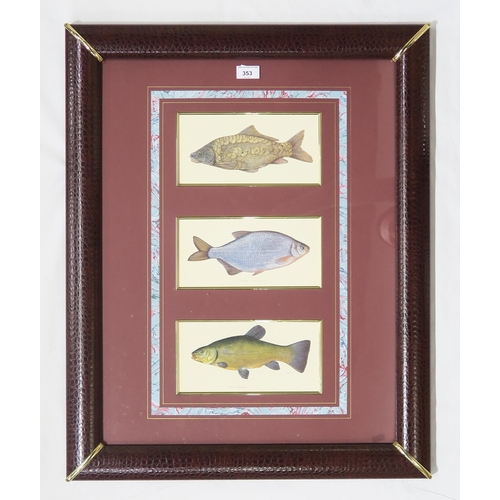 353 - Three prints of piscatorial interest, mounted together within a large faux-crocodile skin frame meas... 