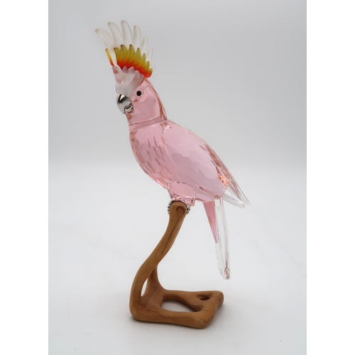 2198 - A SWAROVSKI CRYSTAL BIRDS OF PARADISE  FIGUREof a Cockatiel on wooden base, 23cm high... 