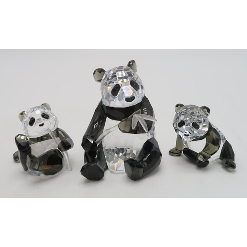 2214 - SWAROVSKI CRYSTAL ENDANGERED WILDLIFE SERIES FIGURES - PANDAScomprising mother and two cubs, designe... 