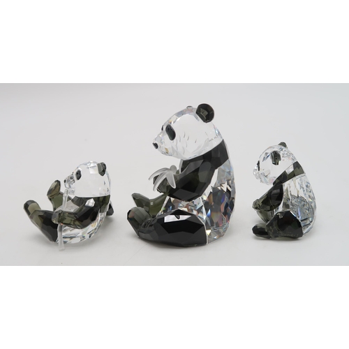 2214 - SWAROVSKI CRYSTAL ENDANGERED WILDLIFE SERIES FIGURES - PANDAScomprising mother and two cubs, designe... 