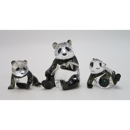 2218 - SWAROVSKI CRYSTAL ENDANGERED WILDLIFE SERIES FIGURES - PANDAScomprising mother and two cubs, designe... 