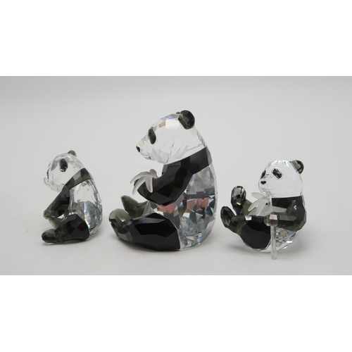 2218 - SWAROVSKI CRYSTAL ENDANGERED WILDLIFE SERIES FIGURES - PANDAScomprising mother and two cubs, designe... 