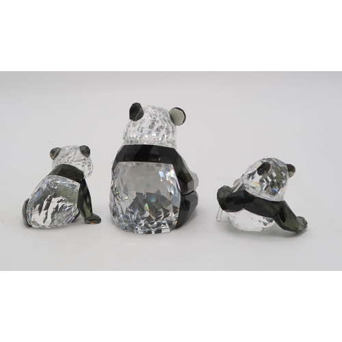 2218 - SWAROVSKI CRYSTAL ENDANGERED WILDLIFE SERIES FIGURES - PANDAScomprising mother and two cubs, designe... 