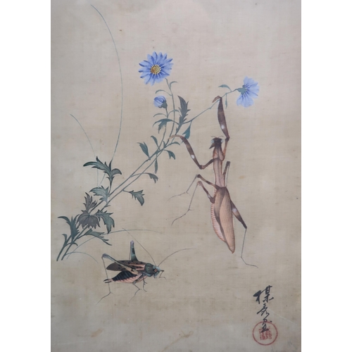 2313 - A SET OF SIX CHINESE PAINTINGS each with insects, flowers and a heron, watercolour on silk, 26 x 19c... 