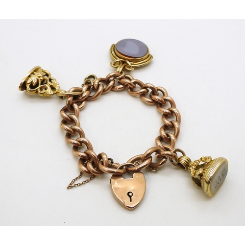 2769 - A CURB CHAIN BRACELETin 9ct rose gold of hollow construction, with three attached fob seals, a 9ct b... 