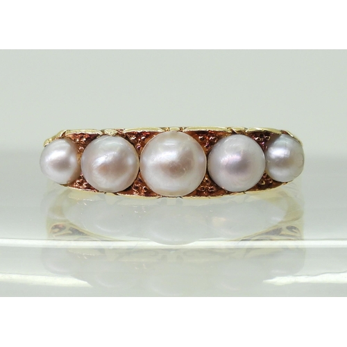 2788 - A FIVE PEARL RINGin classic 18ct gold scroll mount, finger size O1/2, weight 3.9gms... 