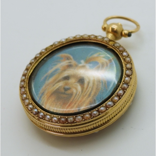 2803 - A YORKSHIRE TERRIER PORTRAIT MINIATUREpainted on ivory and mounted inside a yellow metal fob watch c... 