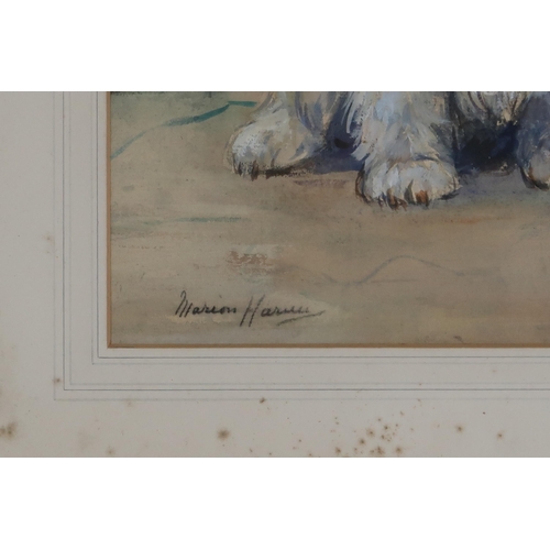 2997 - MARION HARVEY (SCOTTISH 1886-1971)SEALYHAM TERRIER AND CAIRN TERRIERMixed media on paper, signed low... 