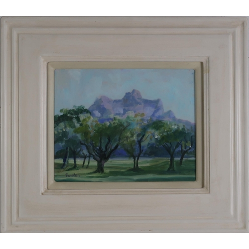 3005 - DELNY GOALEN (SCOTTISH 1932-2023) OLIVE TREES PROVENCE Oil on canvas, signed lower left, inscribed o... 