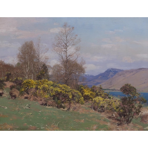 3031 - GEORGE HOUSTON RSA RSW RI (SCOTTISH 1869-1947)WHINS IN BLOOM, (PROBABLY) LOCH FYNEOil on canvas, sig... 