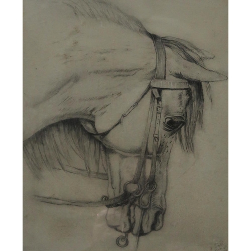 1006 - CONTINENTAL SCHOOL  PORTRAIT OF A HORSE Pencil on paper, signed lower right, dated 18... 