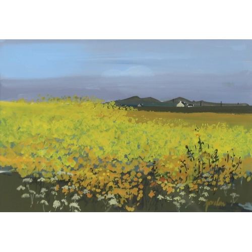 988 - ANNE GORDON (SCOTTISH b.1941) GORSE FIELD Gouache, signed lower right, 20 x 28cm ... 