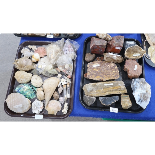 355 - A collection of fossils, petrified wood and rock specimens including Snowflake Obsidian, Snail Shell... 