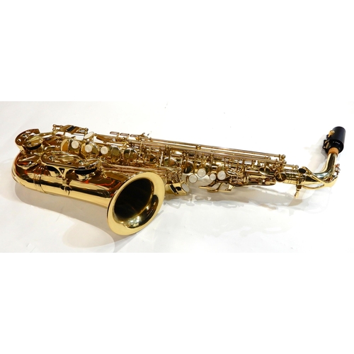 491 - An Artemis MKII alto saxophone with neck and mouthpiece with case and various accessories, reeds, st... 