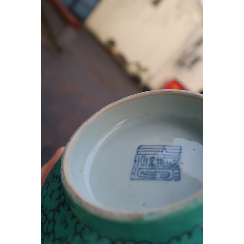 325 - A Chinese turquoise-ground bowl, decorated with roundels of featuring ducks, Jiaqing mark, together ... 