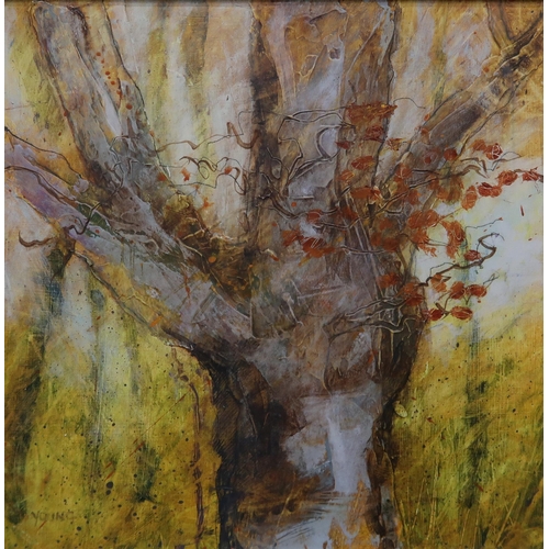 1005 - GEORGIE YOUNG (SCOTTISH b.1949) OAK TREE Acrylic on board, signed lower left, 28.5 x 28.5cm... 