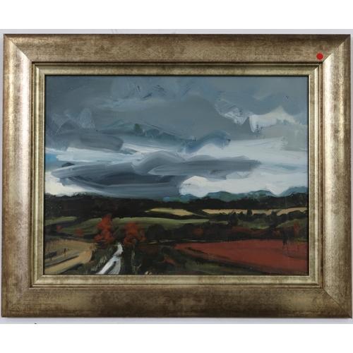 955 - CLAUDIA MASSIE (SCOTTISH b.1978) RED EARTH Oil on board, 25 x 31cm Title inscribed to... 