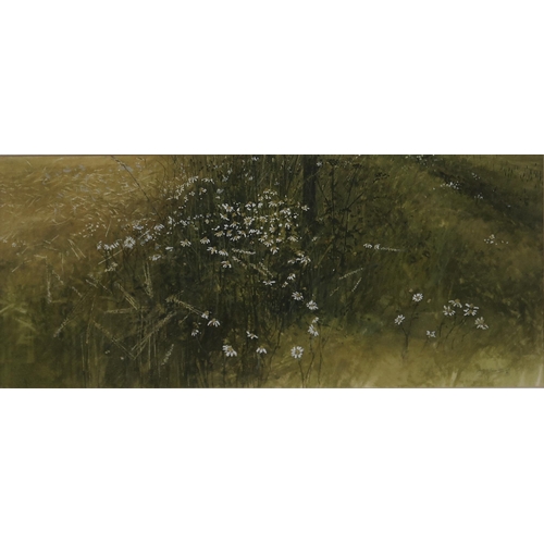 960 - DAVID E. JOHNSTON (SCOTTISH CONTEMPORARY) GARDENS Watercolour, signed lower right, 20 x 50cm Title i... 