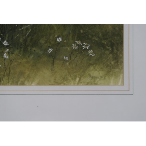 960 - DAVID E. JOHNSTON (SCOTTISH CONTEMPORARY) GARDENS Watercolour, signed lower right, 20 x 50cm Title i... 