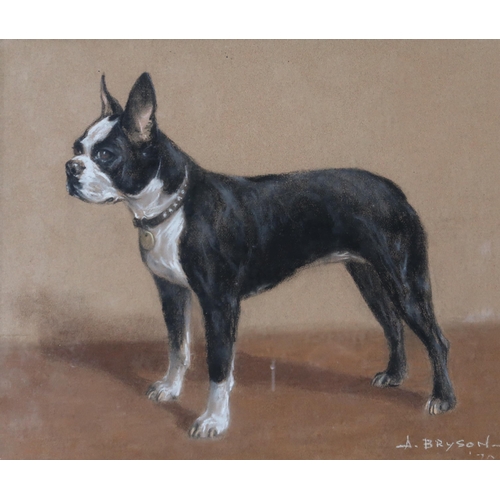 985 - CONTEMPORARY SCHOOL  BOSTON TERRIER Charcoal on paper, signed 'A. Bryson', dated 19(7... 