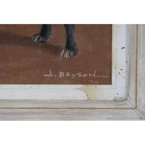 985 - CONTEMPORARY SCHOOL  BOSTON TERRIER Charcoal on paper, signed 'A. Bryson', dated 19(7... 