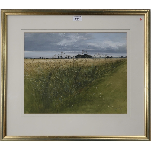 994 - DAVID E. JOHNSTON (SCOTTISH SCHOOL) NEAR PITNAMOON, JULY 1992 Watercolour, signed lower ri... 