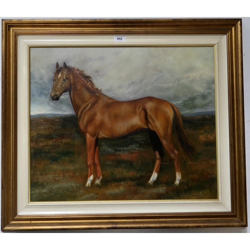 852 - RAFAELE FIORE Horse, signed, oil on canvas, 50 x 60cm