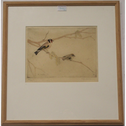 864 - GEORGE VERNON STOKES Jays and Goldfinch, signed, etchings, 27 x 30cm and 24 x 30cm (2)... 