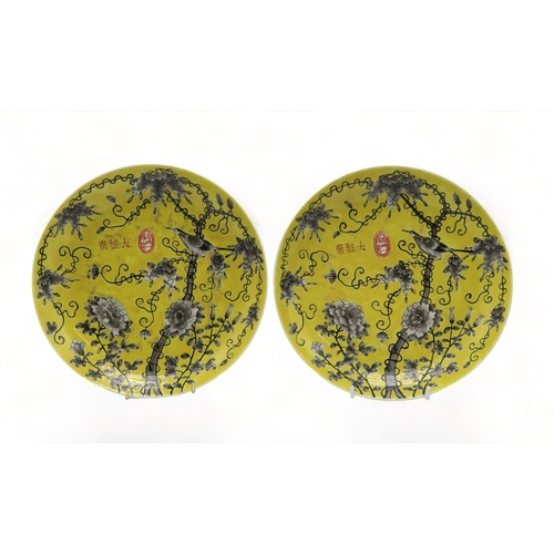 2368 - A PAIR OF YELLOW GROUND DISHESPainted with birds amongst flowering foliage, 24cm diameter (2)... 