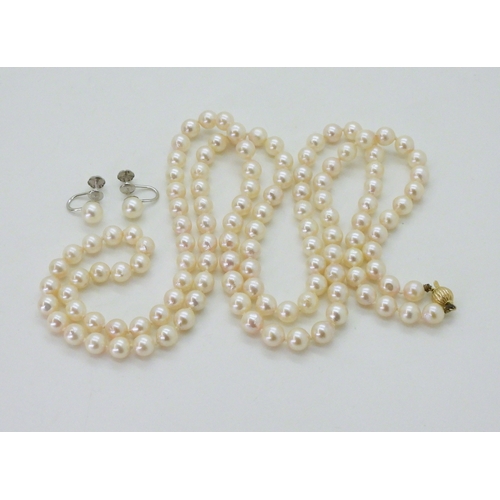 2752 - AN OPERA LENGTH OF UMINOKO PEARLSthe pearls are white with a pink lustre, each pearl is approx 6.3mm... 