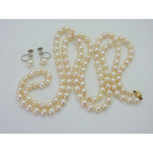 2752 - AN OPERA LENGTH OF UMINOKO PEARLSthe pearls are white with a pink lustre, each pearl is approx 6.3mm... 