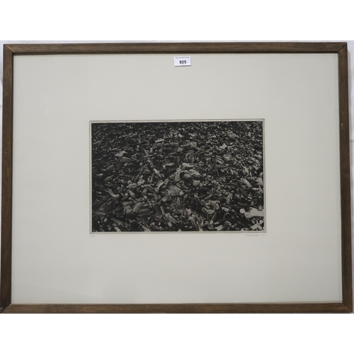 925 - MICHAEL ROSCHLAU (GERMAN b.1942) BOTTLEFIELD, FRANCE Heliogravure, signed lower right, dated (19)87,... 