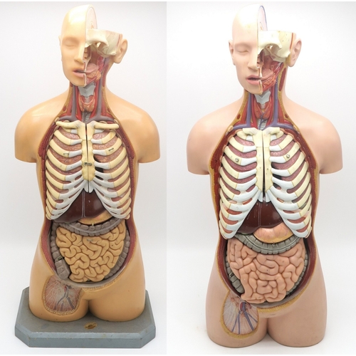 2627 - TWO EDUCATIONAL ANATOMICAL MODELS OF THE HUMAN TORSO, ONE BY ADAM ROUILLY, LONDONWith removable orga... 