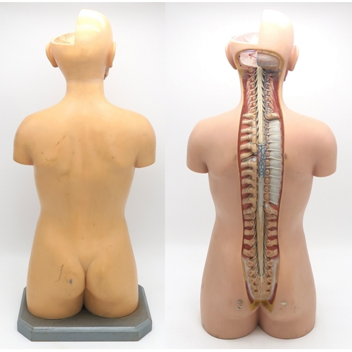 2627 - TWO EDUCATIONAL ANATOMICAL MODELS OF THE HUMAN TORSO, ONE BY ADAM ROUILLY, LONDONWith removable orga... 