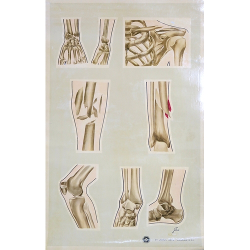 2628 - SIX EDUCATIONAL ANATOMICAL WALL CHARTSTo include a Frohse Anatomical Chart, Plate no. 5: the Heart a... 