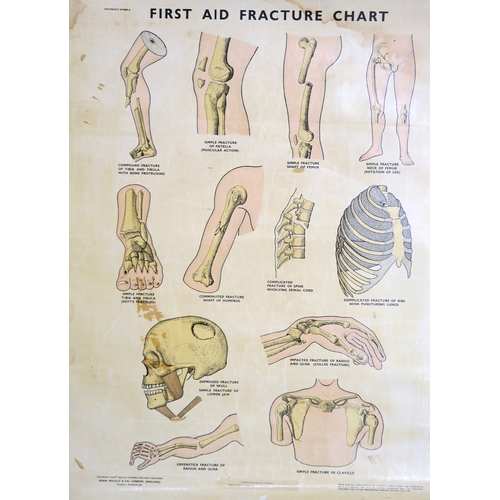 2628 - SIX EDUCATIONAL ANATOMICAL WALL CHARTSTo include a Frohse Anatomical Chart, Plate no. 5: the Heart a... 