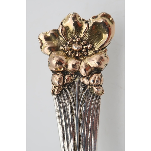 207 - An American silver gilt serving spoon, by George W. Sheibler & Co, late 19th century, the bowl a... 